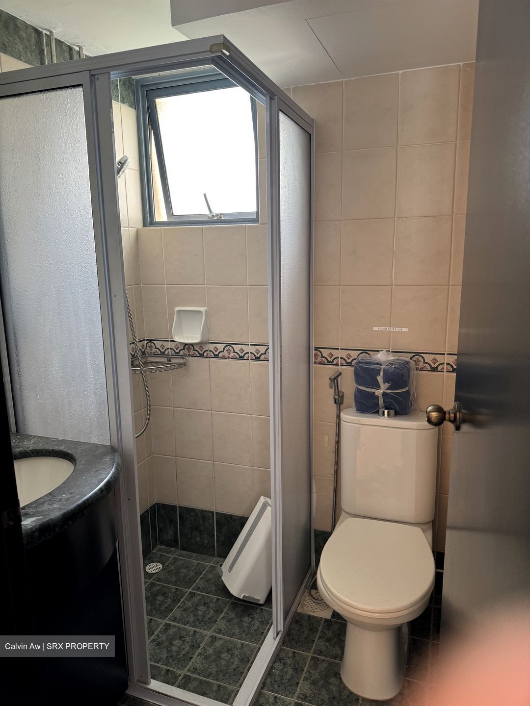 Aquarius By The Park (D16), Condominium #552950221